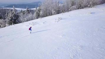 flyg över de ensam turist flicka gående längs de topp av en berg täckt med snö. obekväm ovänlig vinter- väder. video