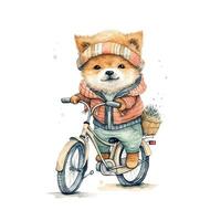 Watercolor hand-drawn illustration of a cute cartoon adorable riding bicycle on white background. . photo