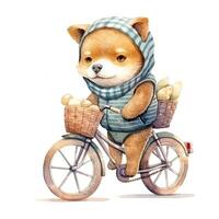 Watercolor hand-drawn illustration of a cute cartoon adorable riding bicycle on white background. . photo