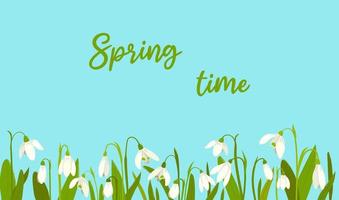 Spring floral rectangular background with snowdrops and quote Spring time in flat style vector