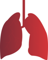 Lungs icon PNG