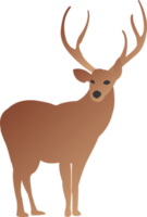 cerf mignonne png