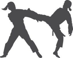 taekwondo silueta icono png