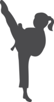 das Mädchen Taekwondo Silhouette Symbol png