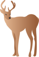 cervo carino png