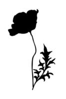 Elegant Poppy flower with leaf black silhouette on white background vector illustration. Hand drawn botanical design element.