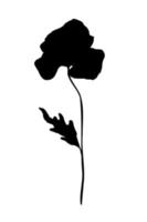 Elegant Poppy flower with leaf black silhouette on white background vector illustration. Hand drawn botanical design element.