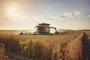 Harvesting of soybean field with combine. photo