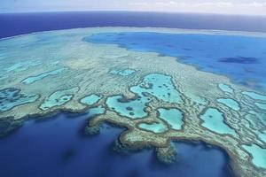 Great Barrier Reef - Aerial View photo