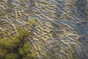 Aerial view of natural patterns in the sand at low tide near mangrove tree forest. photo