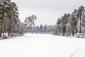 invierno lago cubierto con hielo y nieve foto
