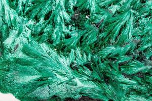 Macro mineral stone plisoviy, plush, satin malachite on a white background photo