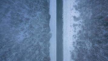 aereo Visualizza su auto guida attraverso inverno foresta strada. panoramico inverno paesaggio video