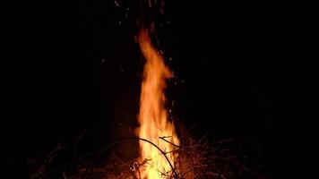 Smouldering coals in a fireplace. Slow motion video