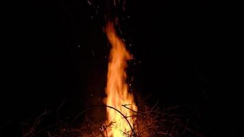 latente carbones en un chimenea. lento movimiento video