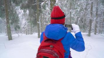 solitário turista menina caminhando em uma inverno coberto de neve conífero floresta dentro a montanhas. gelado clima. lento movimento video