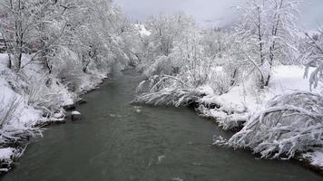 invierno montaña río rodeado por arboles y bancos de cubierto de nieve video