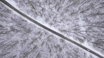 aérien vue sur voiture conduite par hiver forêt route. scénique hiver paysage video