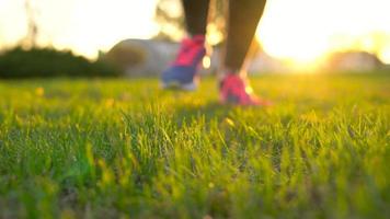 Running shoes - woman tying shoe laces video