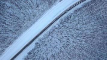 aéreo Visão em carro dirigindo através inverno floresta estrada. cênico inverno panorama video