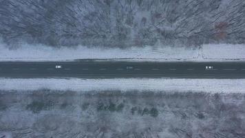 aereo Visualizza su auto guida attraverso inverno foresta strada. panoramico inverno paesaggio video