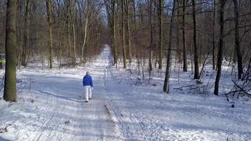 Aerial view on woman in warm clothes strolls along a path among the beautiful winter snow-covered landscape. Clear sunny frosty weather. video