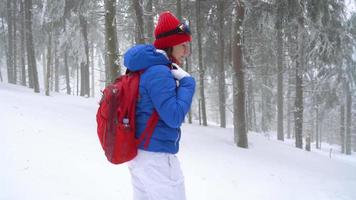 einsam Tourist Mädchen Gehen auf ein Winter schneebedeckt Nadelbaum Wald im das Berge. eisig Wetter. schleppend Bewegung video