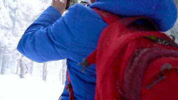 ensam turist flicka gående på en vinter- snötäckt barr- skog i de berg. frostig väder. långsam rörelse video