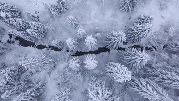 Haut vue de hiver Montagne rivière entouré par des arbres et banques de couvert de neige video