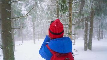 solitario turista niña caminando en un invierno cubierto de nieve conífero bosque en el montañas. escarchado clima. lento movimiento video