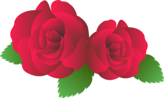 vermelho rosa flor png