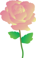 rosa reste sig blomma 3d png