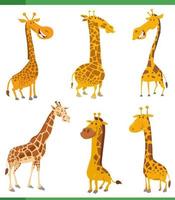 funny cartoon giraffes wild animal characters set vector