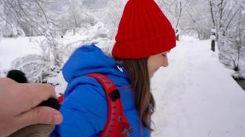 seguir yo - contento joven mujer tracción tipo mano mientras camina a través de el puente a través de el río en invierno video