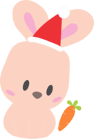 Rabbit year new year icon PNG