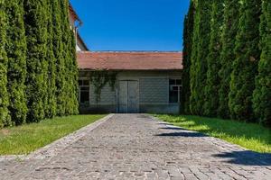 Alley of trees leading to the house with old doors photo