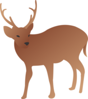 Deer cute PNG