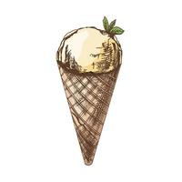 A hand-drawn colored sketch of a waffle cone with ice cream. Vintage illustration. Element for the design of labels, packaging and postcards. vector