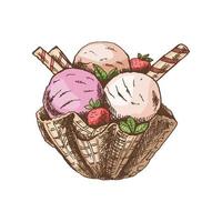 A hand-drawn colored sketch of  ice cream balls in a waffle basket.Vintage illustration. Element for the design of labels, packaging and postcards. vector