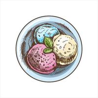 A hand-drawn colored sketch of an ice cream balls  in a plate. Top view. Vintage illustration. Element for the design of labels, packaging and postcards. vector
