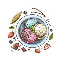 A hand-drawn colored sketch of an ice cream balls  in a plate with chocolate, fruits, berries, vanilla pods.  Top view. Vintage illustration. Element for the design of labels, packaging and postcards. vector