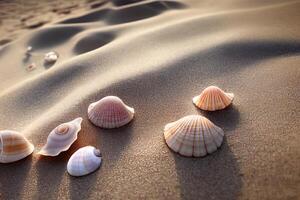 illustration of shells on a sandy beach photo