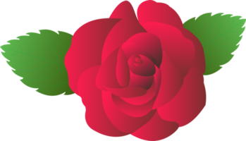 rojo Rosa flor png