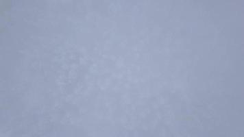 Flug Über Schneesturm im ein schneebedeckt Berg Nadelbaum Wald, unbequem unfreundlich Winter Wetter video