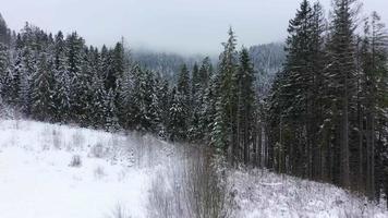 aérien vue de une hiver congelé rivière entouré par des arbres et banques couvert avec neige video