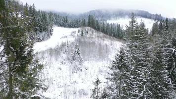 Aerial view of a winter frozen river surrounded by trees and banks covered with snow video