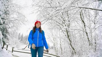 mujer es teniendo divertido - ella es sacudida el ramas de un árbol y nieve es que cae en su. claro soleado escarchado clima video