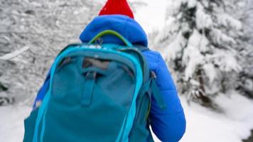 mujer es teniendo divertido - ella es sacudida el ramas de un árbol y nieve es que cae en su. claro soleado escarchado clima video