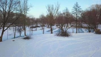 aéreo Visão do uma inverno congeladas rio cercado de árvores e bancos coberto com neve video
