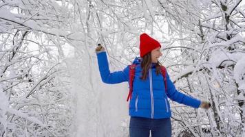 ung kvinna promenader tvärs över de bro tvärs över de flod. skön vinter- snötäckt landskap video